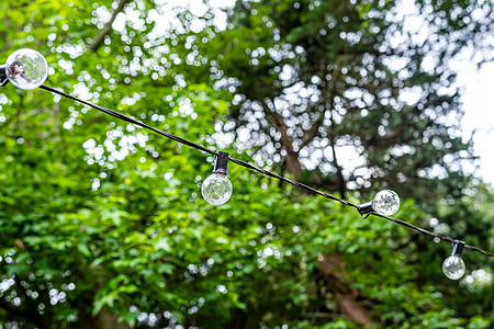 一个户外派对的装饰 一个灯泡挂着的园地风格花园细绳分支机构婚礼木头露台院子乡村玻璃图片