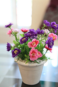瓶装紫花花瓶美丽花束店铺紫色叶子花瓣蓝色礼物花园图片