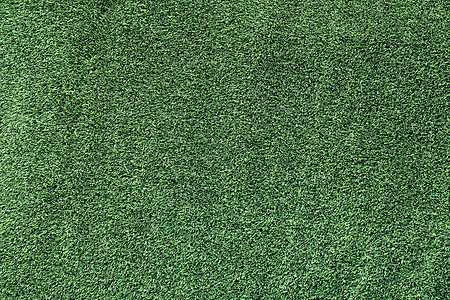 草地背景植物生长运动活力绿色植物框架草原高尔夫球足球院子图片