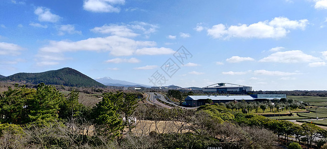 沿路和山边茶园风景景观图片