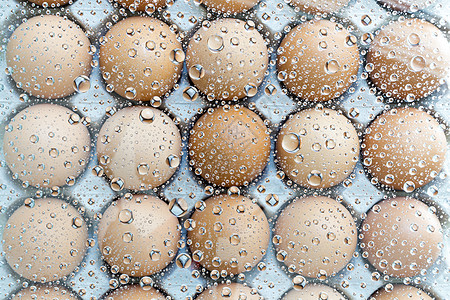 鸡蛋背景的水滴图片
