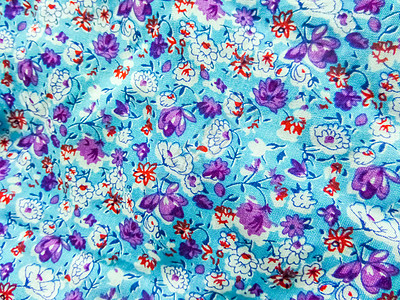 婴儿布和洁具花卉植物群蓝色背景上的艺术花束织物气质手工桌布打印肤色植物水彩墙纸图片