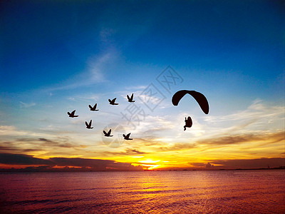 剪影飞鸟和动力伞在海上和日落 sk环境阴影线条友谊植物血月蓝色飞行森林气质图片