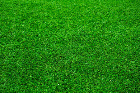 草地背景足球植物场地运动草原院子绿色植物蓝色墙纸环境图片