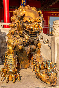 金金中国守护狮子 或明朝的石雕像图片