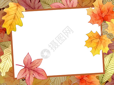 手绘水彩叶子秋叶边框和空白公猪背景