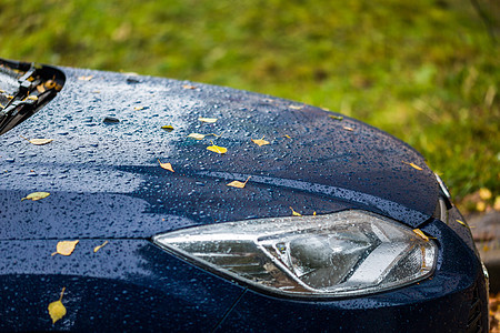 秋天多雨的蓝色汽车 橙色的桦树叶 — 选择性聚焦赢得模糊特写图片