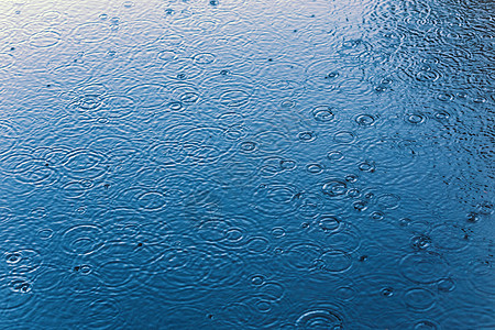 具有选择性聚焦和蓝光的静水表面背景上的雨滴图片