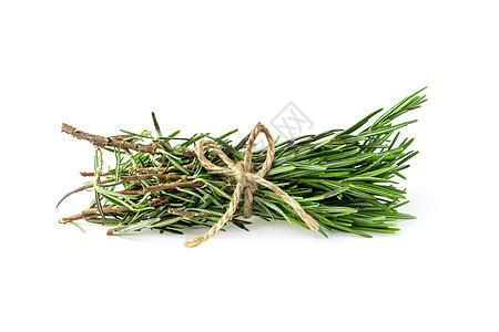 在白色背景上被孤立的新鲜原始罗斯玛丽药品植物草药香味草本香料文化食物枝条迷迭香图片