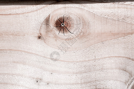原木背景墙纸木工建造木板图案棕色松树静脉控制板木材条纹图片