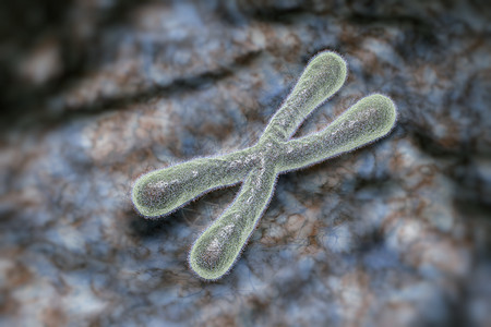 Telomeres数字插图疾病解剖学医疗技术癌症生物学染色体科学化学酵素图片