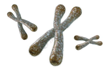 Telomeres数字插图医疗解剖学生物化学细胞端粒遗传技术科学疾病图片