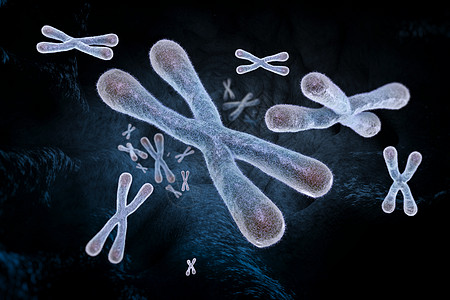 Telomeres数字插图生物学身体医疗染色体端粒技术遗传科学解剖学疾病图片