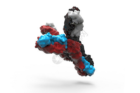 3D插图 用抗体进行病毒细胞移动技术细菌绘画生物静脉生物学动脉医疗微生物学团体图片