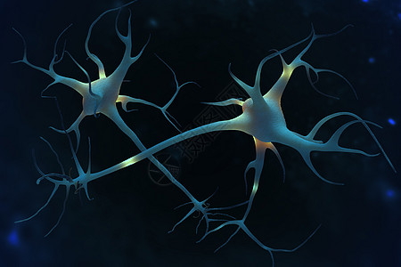 神经元细胞大脑数字插图图片