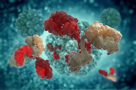 3D插图 用抗体进行病毒细胞移动静脉补给品科学绘画技术3d细菌微生物学团体生物学图片
