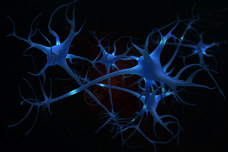 神经细胞脑图片