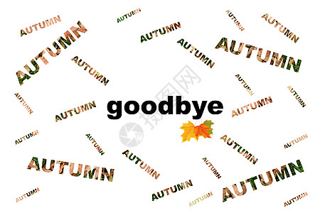 在白色背景上的口号秋天再见 主题与帖子上的文字图片
