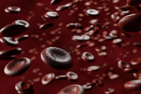 体内红血细胞 3D转化图片