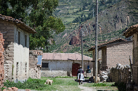 安第斯妇女农民白色农场女士旅行乡村女性工作文化图片