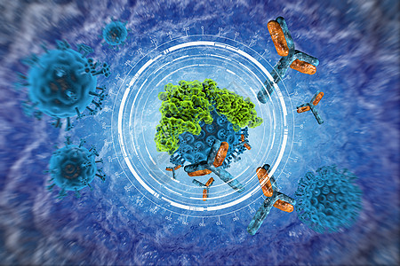 病毒细胞运动的抗体图片