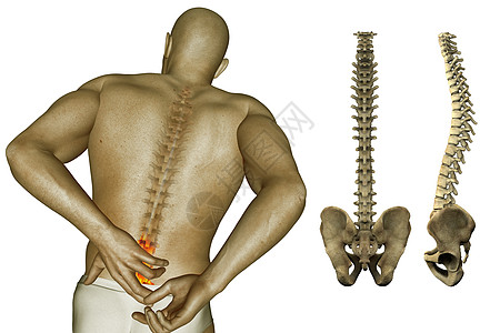 后背和脊椎的数码插图疼痛图片