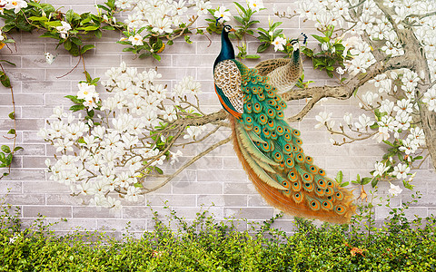 3D花孔雀圆形背景墙纸插图婚礼树叶绘画玫瑰叶子热带樱花植物动物图片