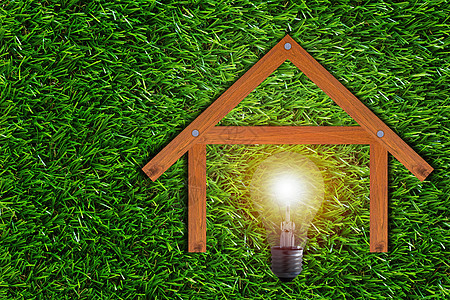 绿色能源概念草地环境地球回收力量房子创造力灯泡技术生态图片