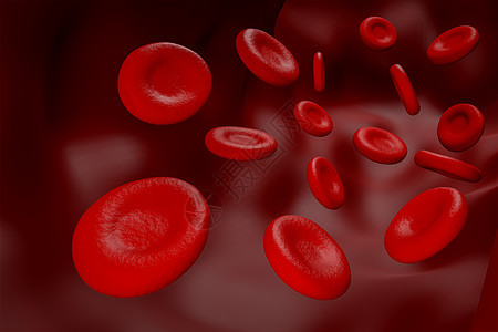 在血液管 grap 里面的红血球和白血球概念渲染生活宏观生物学科学细胞溪流微生物学流动身体图片
