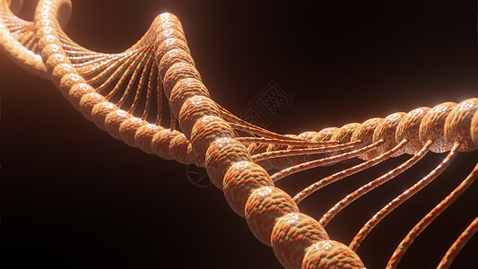 抽象矢量 Dna 结构 医学科学背景 3D 重新遗传横幅生物学基因组蓝色医疗坡度推介会化学技术图片