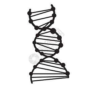 白色背景上的 dna 图标  dna 标志 平面样式  dna 图标 fo艺术生活网络按钮螺旋插图圆形医疗生物学基因图片