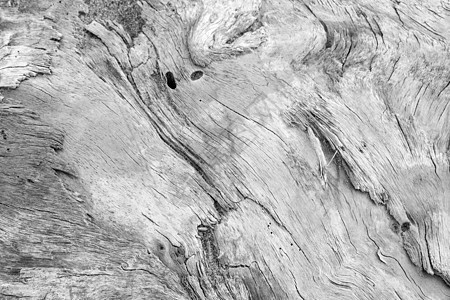 一个从海中雕刻而成的大木箱 时间隐藏了我黑与白木板树干地面艺术老化木材框架数字材料图片
