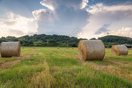 乡下金草篮子玉米小麦农场地平线圆圈土地植物稻草戏剧性天空图片