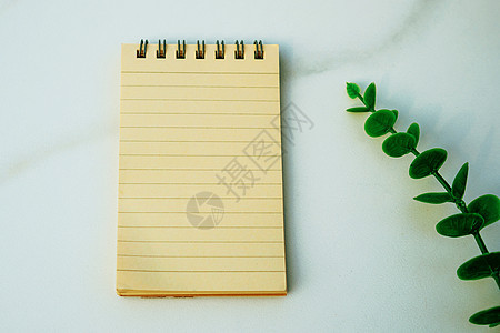 以热带叶为框的空白白色笔记本和笔的顶视图小样婚礼框架教育办公室桌子树叶剪贴簿植物假期图片