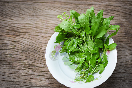 碗上菜园和木桌上的蔬菜花园 面粉和木板香料食物芳香农场混合物草本植物勺子植物饮食烹饪图片