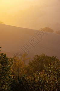 蒙特费特罗山丘橙子场地杂草旅游薄雾天气森林季节阴影阴霾图片