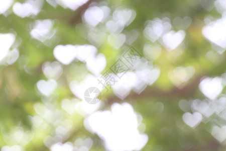 背景绿树软模糊散景自然清新照明心形情人节和森林草本壁纸软散景自然背景设计植物绿色植物庆典天空艺术假期季节公园叶子蓝色图片