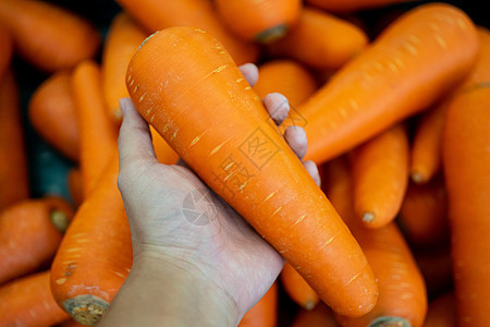 在超市店里捡新鲜胡萝卜零售店铺水果花园收成采摘生产销售蔬菜市场图片