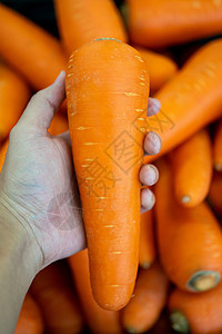 在超市店里捡新鲜胡萝卜采摘蔬菜生产收成橙子市场花园零售水果食物图片
