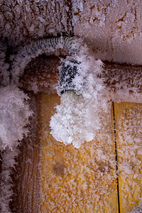 在木墙壁和电灯泡上的雪水晶磨砂野生动物蓝色木板季节荒野水晶天气墙纸木头图片