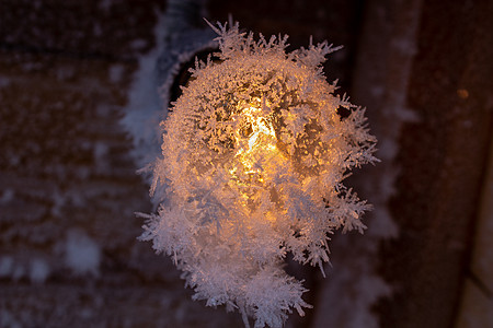 在木墙壁和电灯泡上的雪水晶栅栏木板磨砂天气季节冻结植物蓝色木头墙纸图片