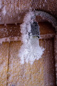 在木墙壁和电灯泡上的雪水晶天气冻结磨砂森林野生动物栅栏荒野墙纸水晶木头图片