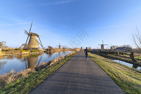 在荷兰运河中间的Unesco传统风力车轮椅上 亮光日出活力农业场地太阳干旱农场丘陵环境农村国家图片