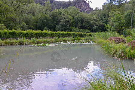 马尔莫尔瀑布湖森林农村溪流假期泡沫力量激流植被远足植物图片
