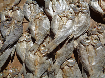 具有自然背景的咸鱼干燥过程 生鱼 印度尼西亚语 爪哇语 称为 ikan balur 它是印度尼西亚传统的著名配菜热带健康饮食干鱼图片