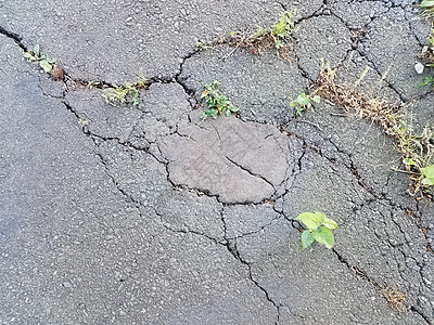 含有杂草的黑沥青中的损坏或裂缝损害路面地面黑色图片