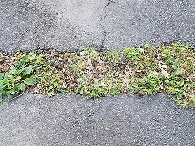 含有杂草的黑沥青中的损坏或裂缝地面黑色损害路面图片