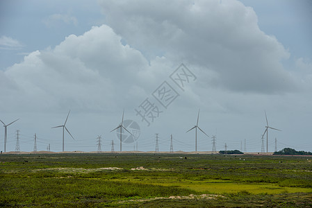 巴西阿廷斯附近田地上的风车环境环保车站干旱商业能源绿色力量风能涡轮图片