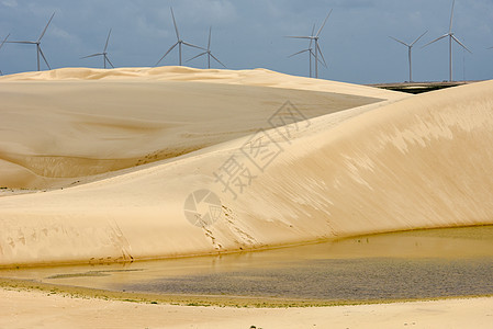阿廷斯附近的 伦科瓦马兰汉斯沙丘上的风车 B自然资源旅游海岸能量源环保商业车站风力爬坡旅行图片