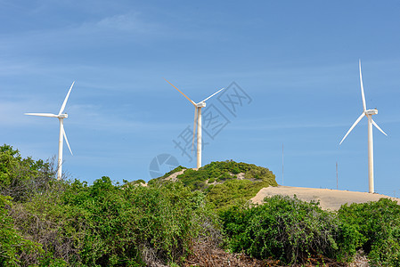 巴西风力农场能源旅行环境环保车站气候沙漠绿色商业涡轮图片
